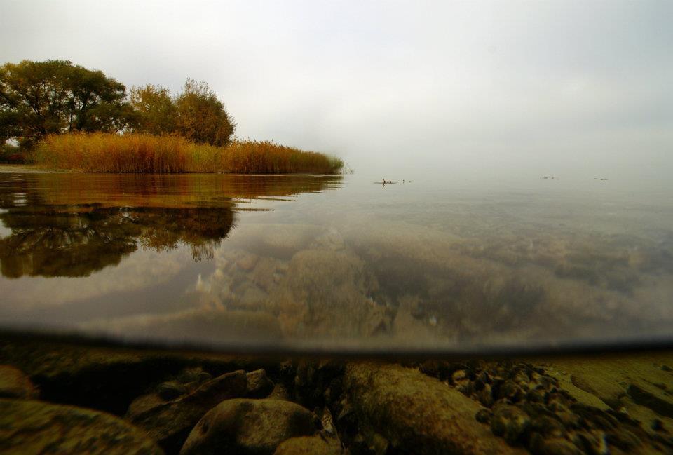 DAIWA - 299780224715187595962525193333n1.jpg